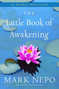 Produktbild: The Little Book of Awakening