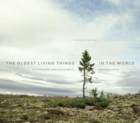 Produktbild: The Oldest Living Things in the World