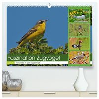 Produktbild: Faszination Zugv&ouml;gel - Rekorde in der Vogelwelt (hochwertiger Premium Wandkalender 2026 DIN A2 quer), Kunstdruck in Hochglanz