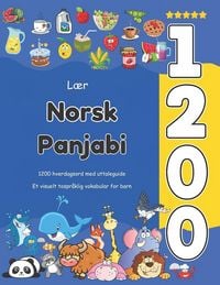 Produktbild: L&aelig;r Norsk Panjabi 1200 hverdagsord med uttaleguide