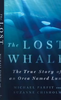 Produktbild: Lost Whale