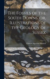 Produktbild: The Fossils of the South Downs, or, Illustrations of the Geology of Sussex