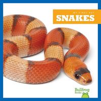 Produktbild: Snakes