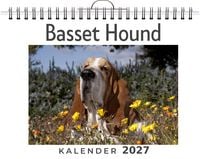 Produktbild: Basset Hound