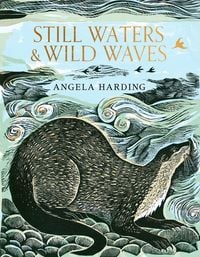 Produktbild: Still Waters & Wild Waves