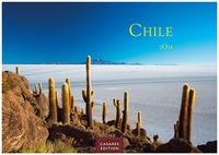 Bild vom Artikel Chile 2024 L 35x50cm vom Autor 