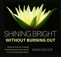 Produktbild: Shining Bright Without Burning Out