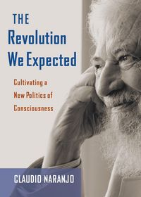 Produktbild: The Revolution We Expected
