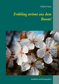 Produktbild: Fr&uuml;hling str&ouml;mt aus dem Baum!