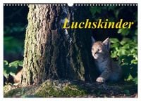 Produktbild: Luchskinder (Wandkalender 2027 DIN A3 quer), CALVENDO Monatskalender