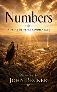 Produktbild: Numbers - A Verse by Verse Commentary
