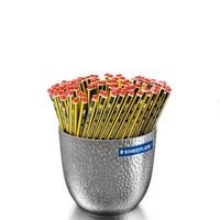 Produktbild STAEDTLER Bleistifte Blumentopf Noris HB 144er Set