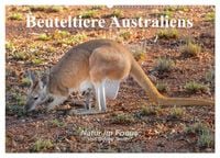 Produktbild: Beuteltiere Australiens (Wandkalender 2026 DIN A2 quer), CALVENDO Monatskalender