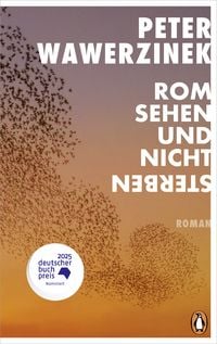 Produktbild: Rom sehen und nicht sterben