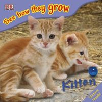 Produktbild: Publishing Dk: See How They Grow Kitten