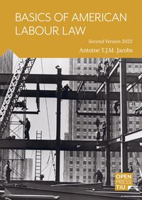 Produktbild: Basics of American Labour Law