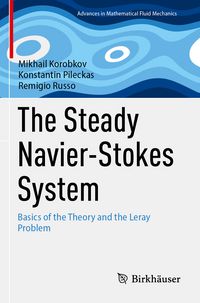 Produktbild: The Steady Navier-Stokes System