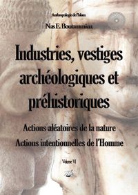 Produktbild: Industries, vestiges arch&eacute;ologiques et pr&eacute;historiques - Action al&eacute;atoire de la nature & Action intentionnelle de l'Homme - Volume VI