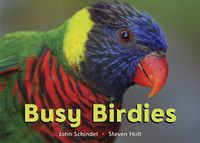 Produktbild: Busy Birdies-Board