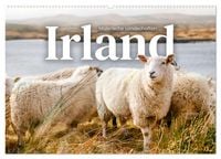 Produktbild: Irland - Malerische Landschaften (Wandkalender 2026 DIN A2 quer), CALVENDO Monatskalender