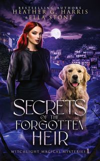 Produktbild: Secrets of the Forgotten Heir