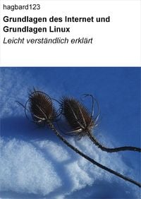 Produktbild: Grundlagen des Internet und Grundlagen Linux