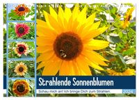 Bild vom Artikel Strahlende Sonnenblumen (Wandkalender 2024 DIN A4 quer), CALVENDO Monatskalender vom Autor Karin Sigwarth