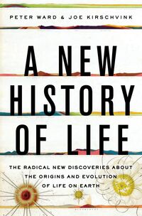 Produktbild: Ward, P: New History of Life