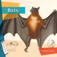 Produktbild: Bats