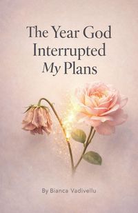 Produktbild: The Year God Interrupted My Plans