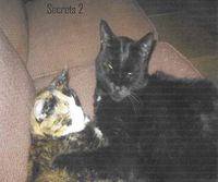 Produktbild: Secrets 2