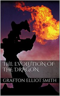 Produktbild: The Evolution of the Dragon