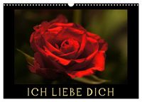 Produktbild: Ich liebe Dich (Wandkalender 2027 DIN A3 quer), CALVENDO Monatskalender