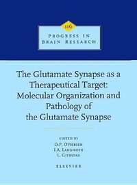 Produktbild: The Glutamate Synapse as a Therapeutic Target