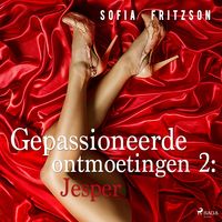 Produktbild: Gepassioneerde ontmoetingen 2: Jesper - erotisch verhaal