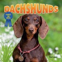 Produktbild: Dachshunds