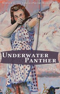 Produktbild: Underwater Panther