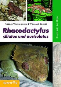 Bild vom Artikel Rhacodactylus ciliatus und auriculatus vom Autor Friedrich W. Henkel