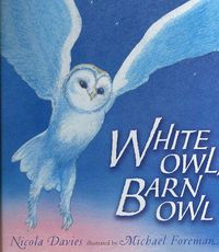 Produktbild: White Owl, Barn Owl