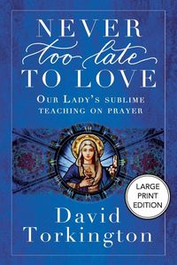 Produktbild: Never Too Late To Love (Large Print Edition)