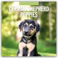 Produktbild: German Shepherd Puppies &ndash; Deutsche Sch&auml;ferhunde Welpen 2027 &ndash; 16-Monatskalender