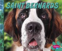 Produktbild: St Bernards