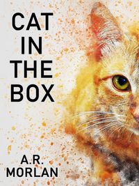 Produktbild: Cat in the Box