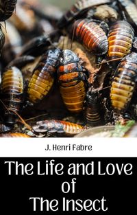 Produktbild: The Life and Love Of The Insect