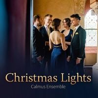 Produktbild: Christmas Lights