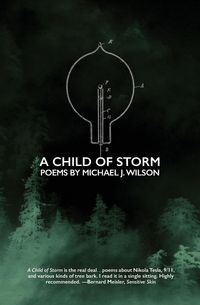 Produktbild: A Child of Storm