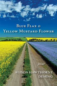 Produktbild: Blue Flax & Yellow Mustard Flower