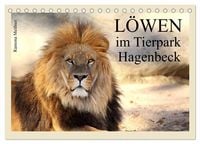 Produktbild: L&ouml;wen im Tierpark Hagenbeck (Tischkalender 2027 DIN A5 quer), CALVENDO Monatskalender