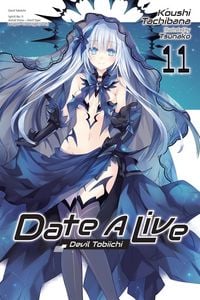 Produktbild: Date a Live, Vol. 11 (Light Novel)