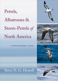 Produktbild: Petrels, Albatrosses, and Storm-Petrels of North America